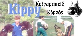 kutyapanzio.kippy.hu - kutyapanzio.kippy.hu