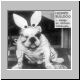 Húsvéti bulldog - avagy az álcázás művészete