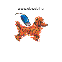 www.kutyakozmetikus.hu - www.kutyakozmetikus.hu